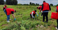 【市城市燃熱集團(tuán)富泰熱力】公司黨委組織開展除蒿草清垃圾志愿服務(wù)活動